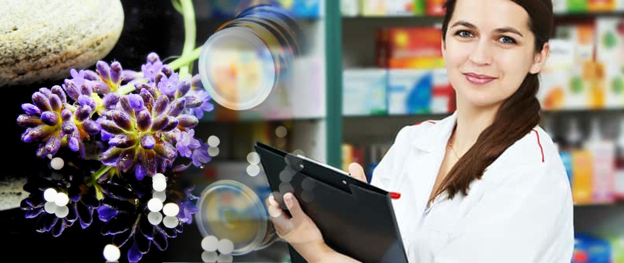 Petcarerx Review A Free Hiding Site —